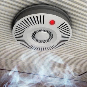Hearing alerts us to environmental signals such as smoke alarms