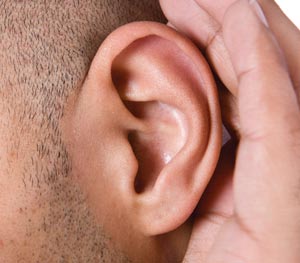 The effectiveness of our outer ear